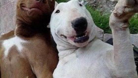 大雄笑了!日本高中作业难度堪比小学生_扑家汉