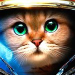 Armored Kitten: 僵尸猎人