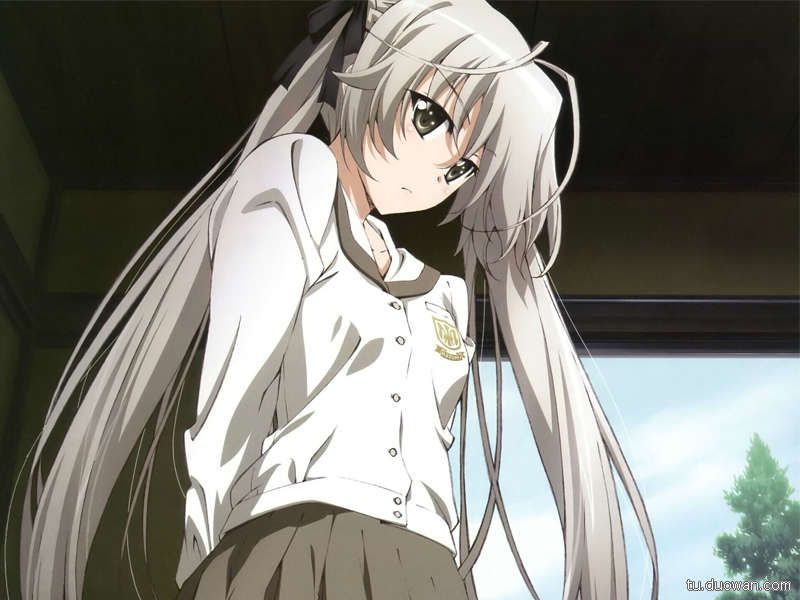 漫画《你萌什么?》发行 萌属性排行萌萌哒 - 动