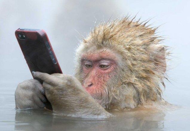 企鹅娘吐槽:你最希望哪部已经完结的作品重开