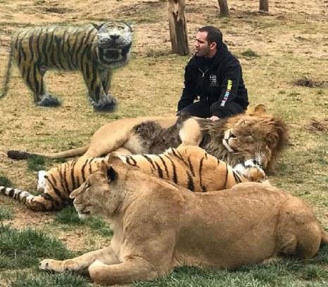 表情包界新添虎将! 印尼老虎雕像遭吐槽_扑家