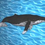 脱出游戏 博士的挑战书2