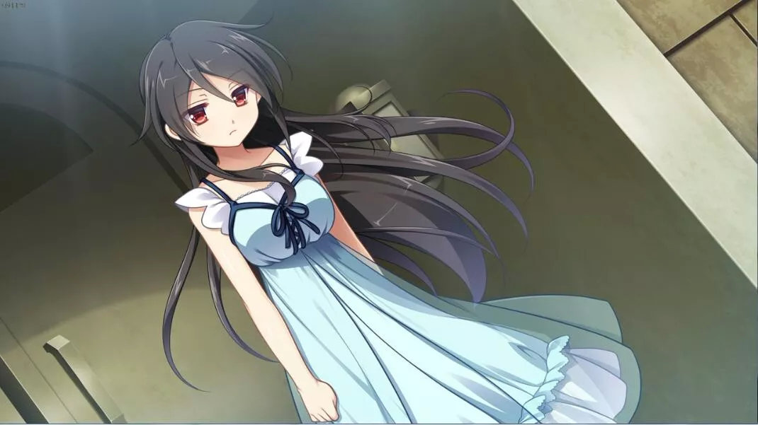 steam游戏中空的东西会带有灵魂如月家的人偶亦然月影魅像解放之羽